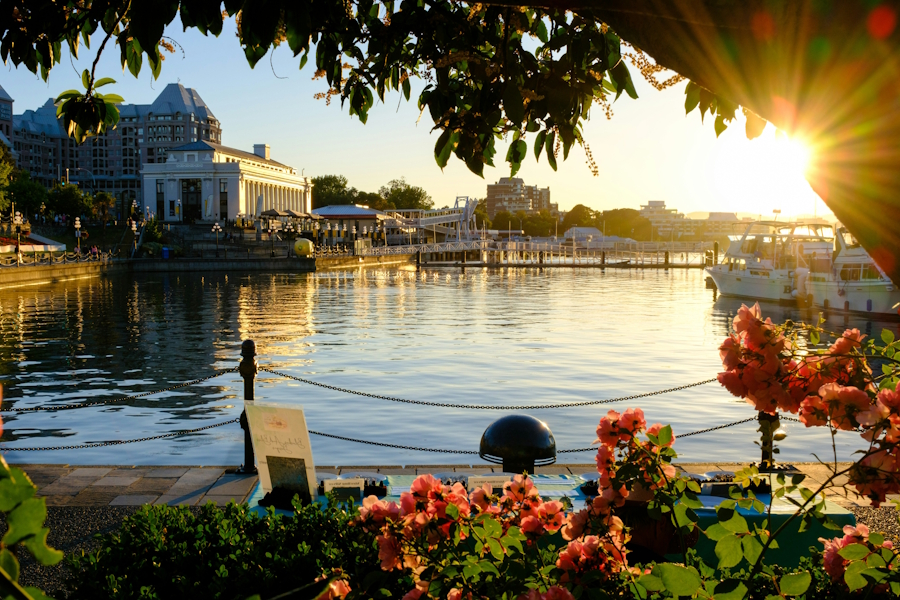 View across the harbour in downtown Victoria