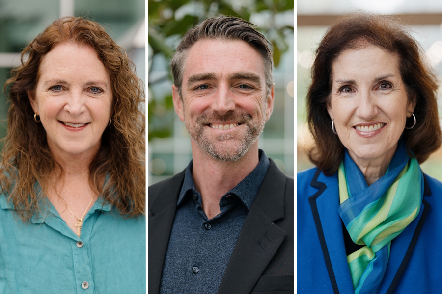 Drs. Diane Stinton, David Robinson, and Rhonda McEwen