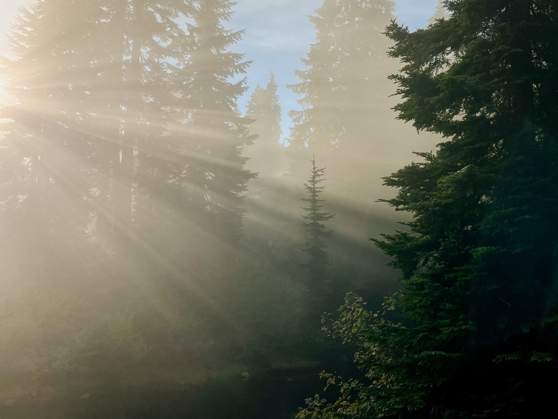 Ph by Genevive Althea