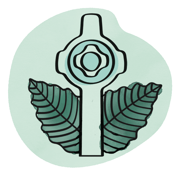 page_icon