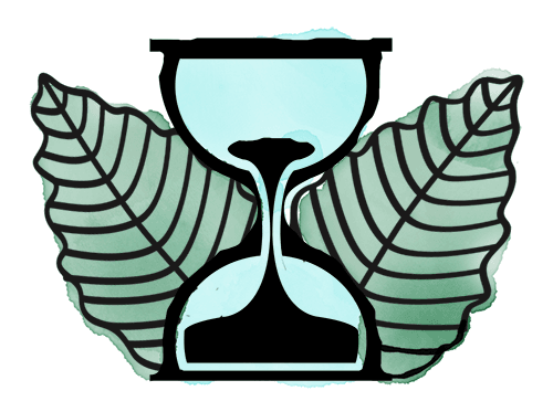 page_icon
