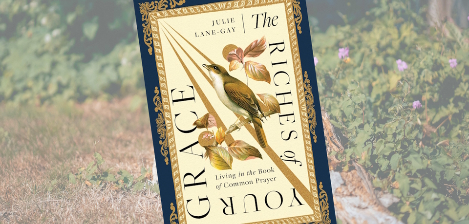 Julie_lane-gay_book