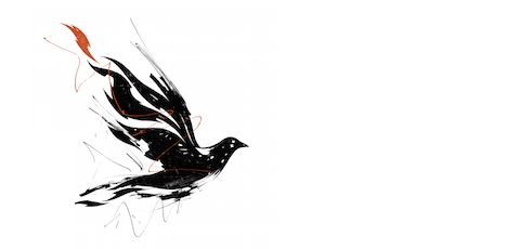 Dove480
