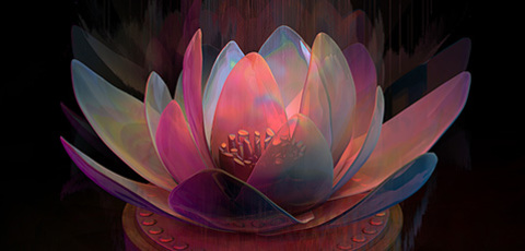 Garden-unearthly-480