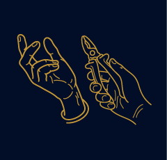 Imt-2019-240